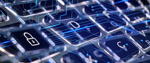 赴日留學信息技術領域擇專業三原則 結合前沿、契合自身、著眼未來